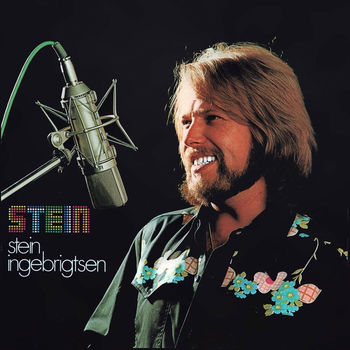 Album cover of Stein