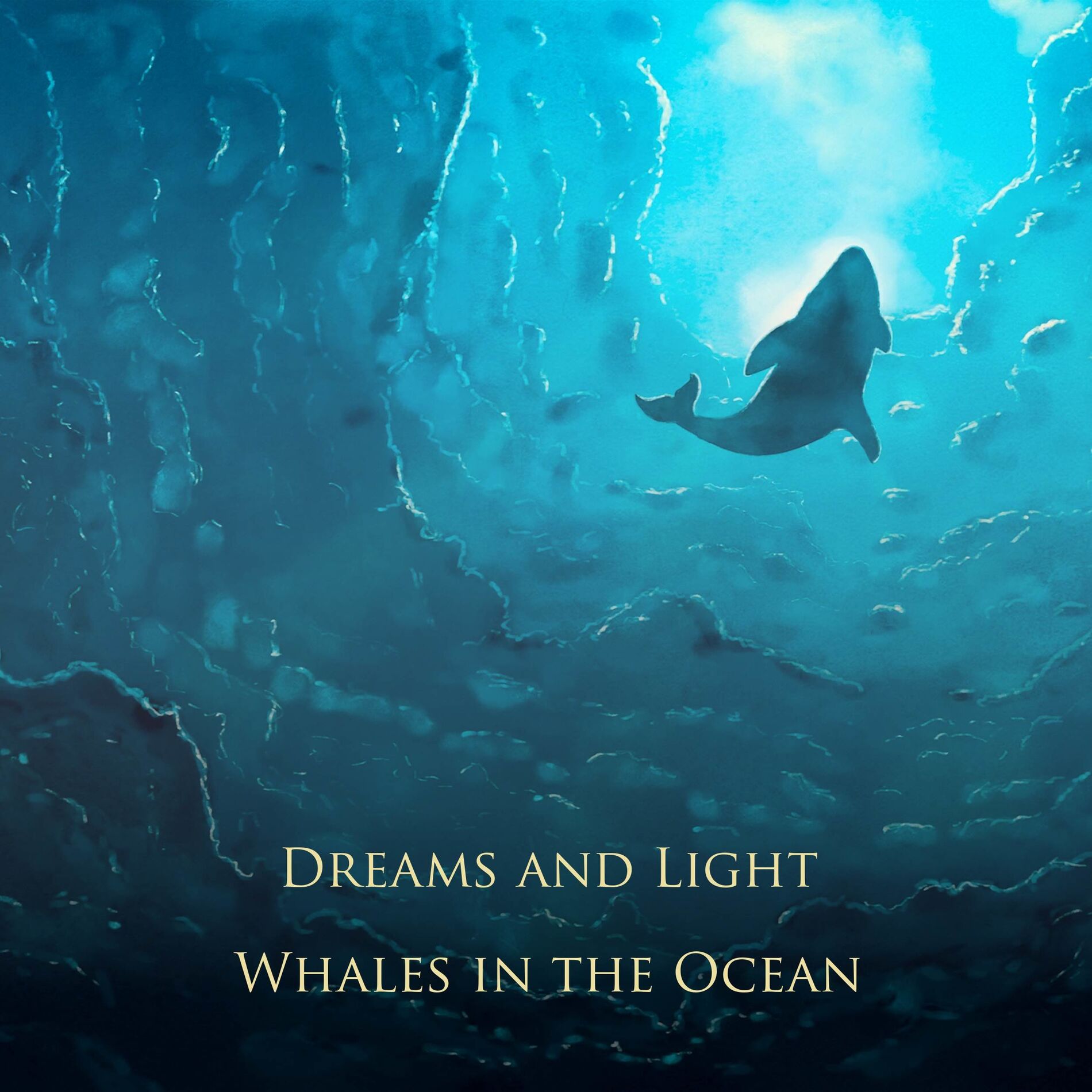 Album cover of Whales in the Ocean