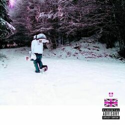 Cover of VÊTEMENTS CHERS