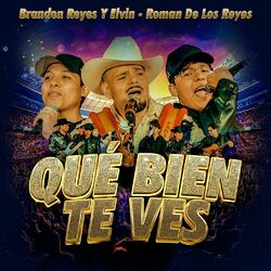 Cover of Qué Bien Te Ves (En Vivo)
