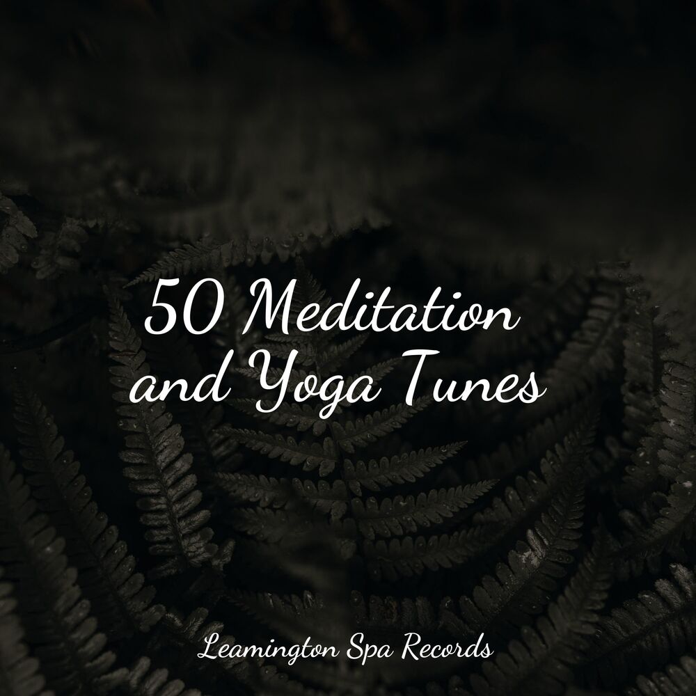 Picture of 50 Meditation and Yoga Tunes