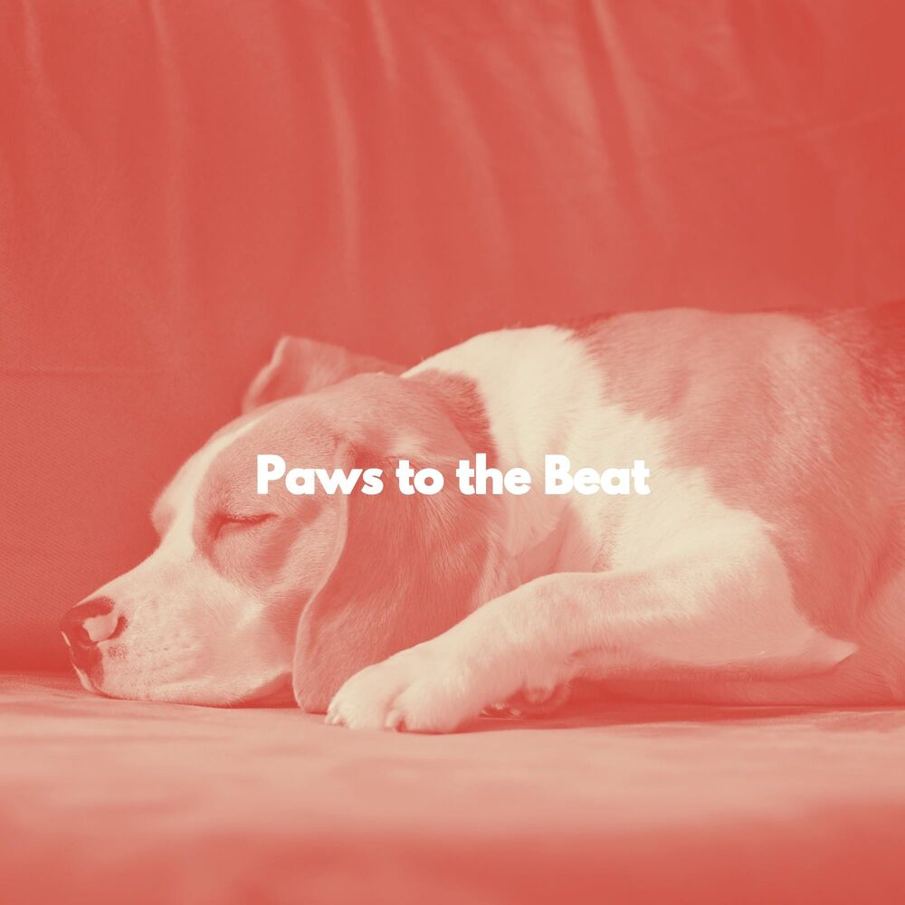 Picture of Paws to the Beat