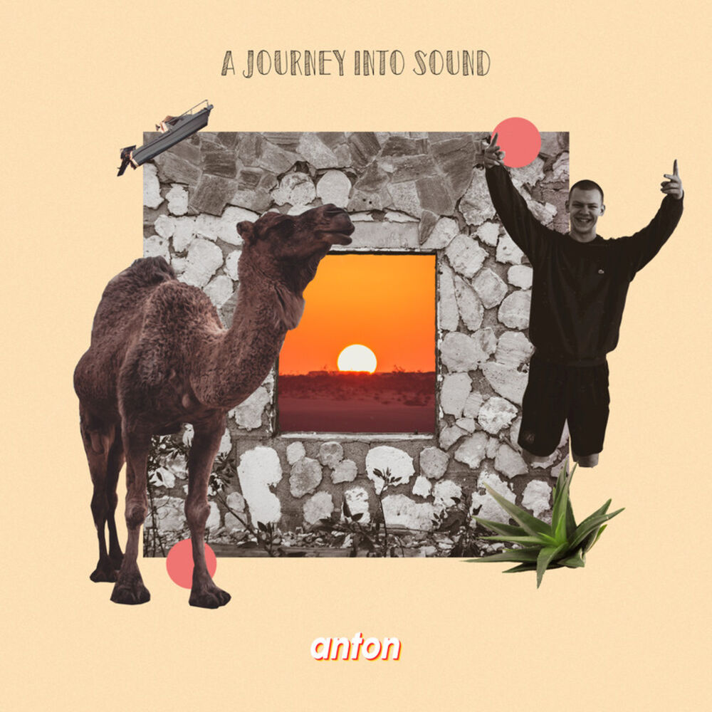 Picture of A Journey into Sound