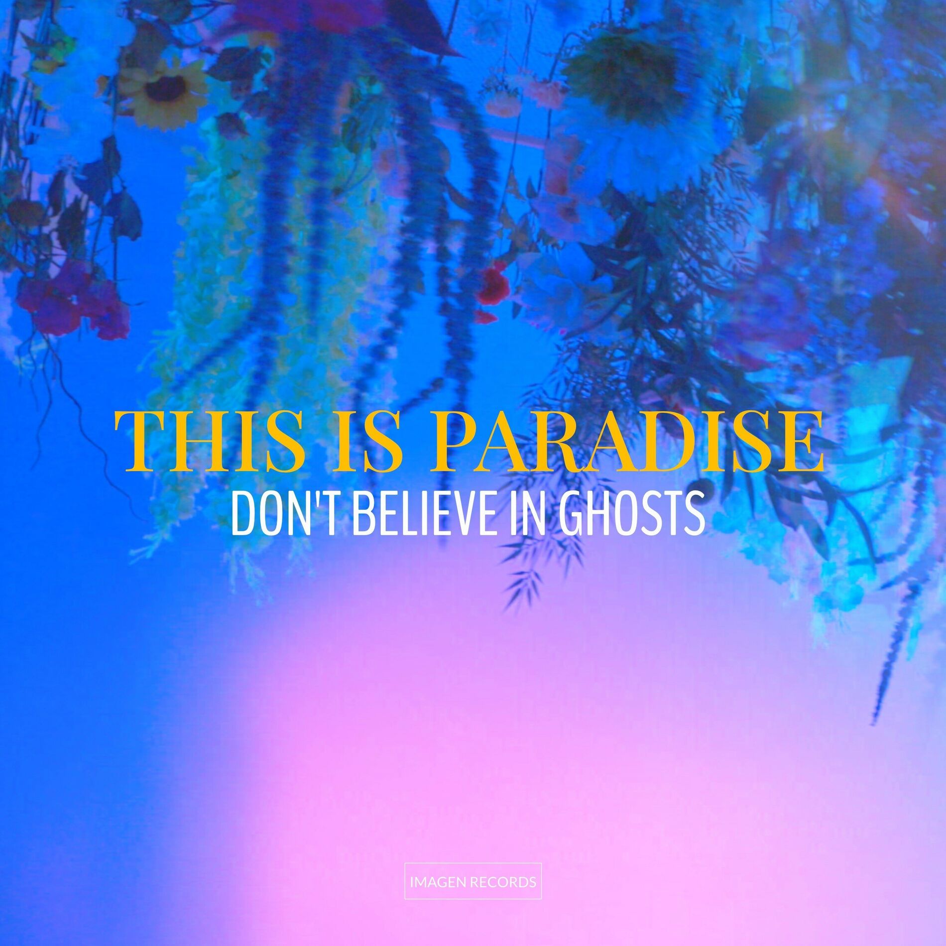 Album cover of This Is Paradise