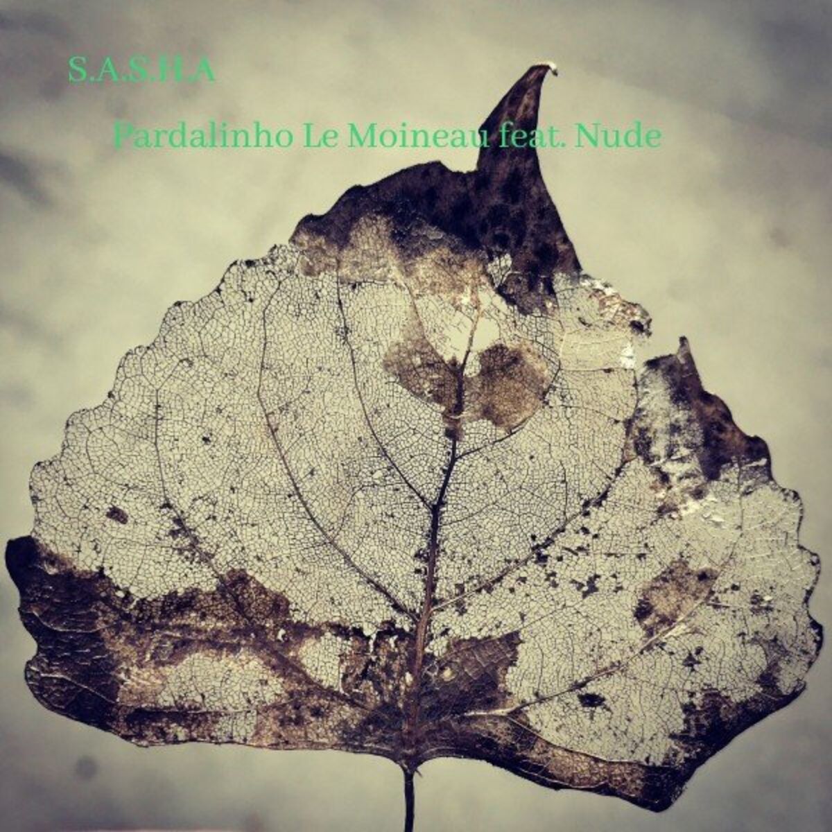 Album cover of S.a.s.h.a
