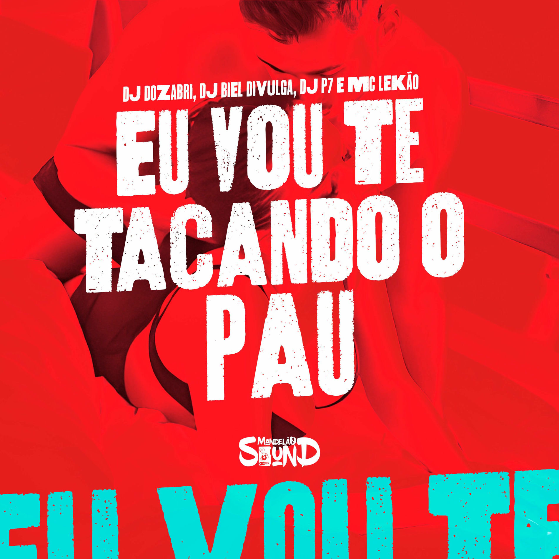 Album cover of Eu Vou Te Tacando o Pau