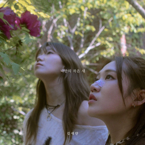 Seyan Kim – My Little Bird – Single