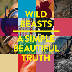 Cover of A Simple Beautiful Truth