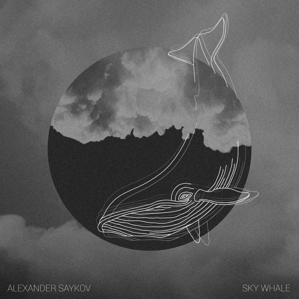 Picture of Sky Whale