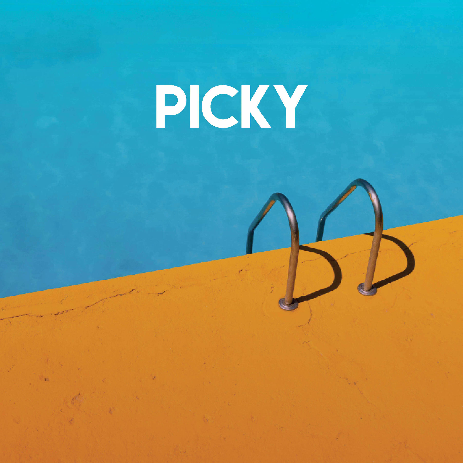 Album cover of Picky