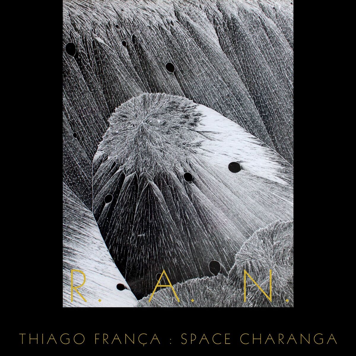 Album cover of Space Charanga: R. A. N.