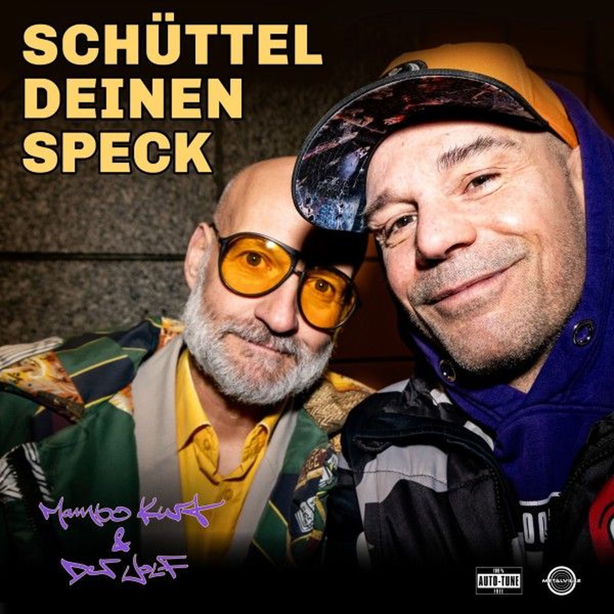 Album cover of Schüttel deinen Speck