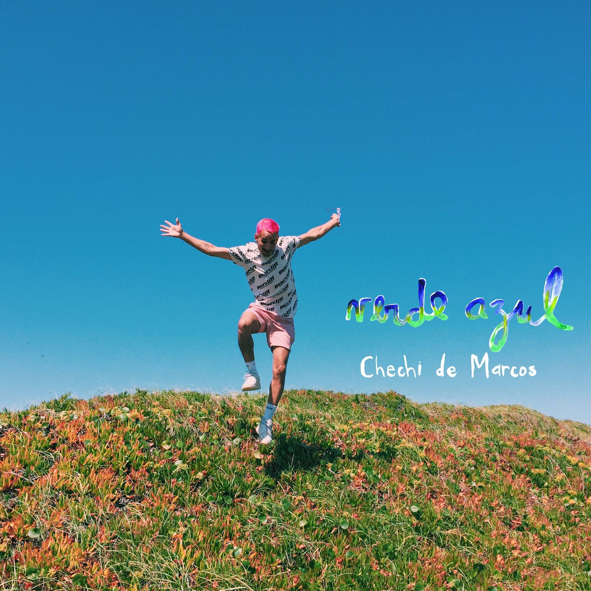 Album cover of Verde Azul