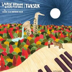 Cover of Oiseau