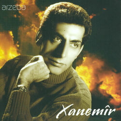 Cover of Arzeba