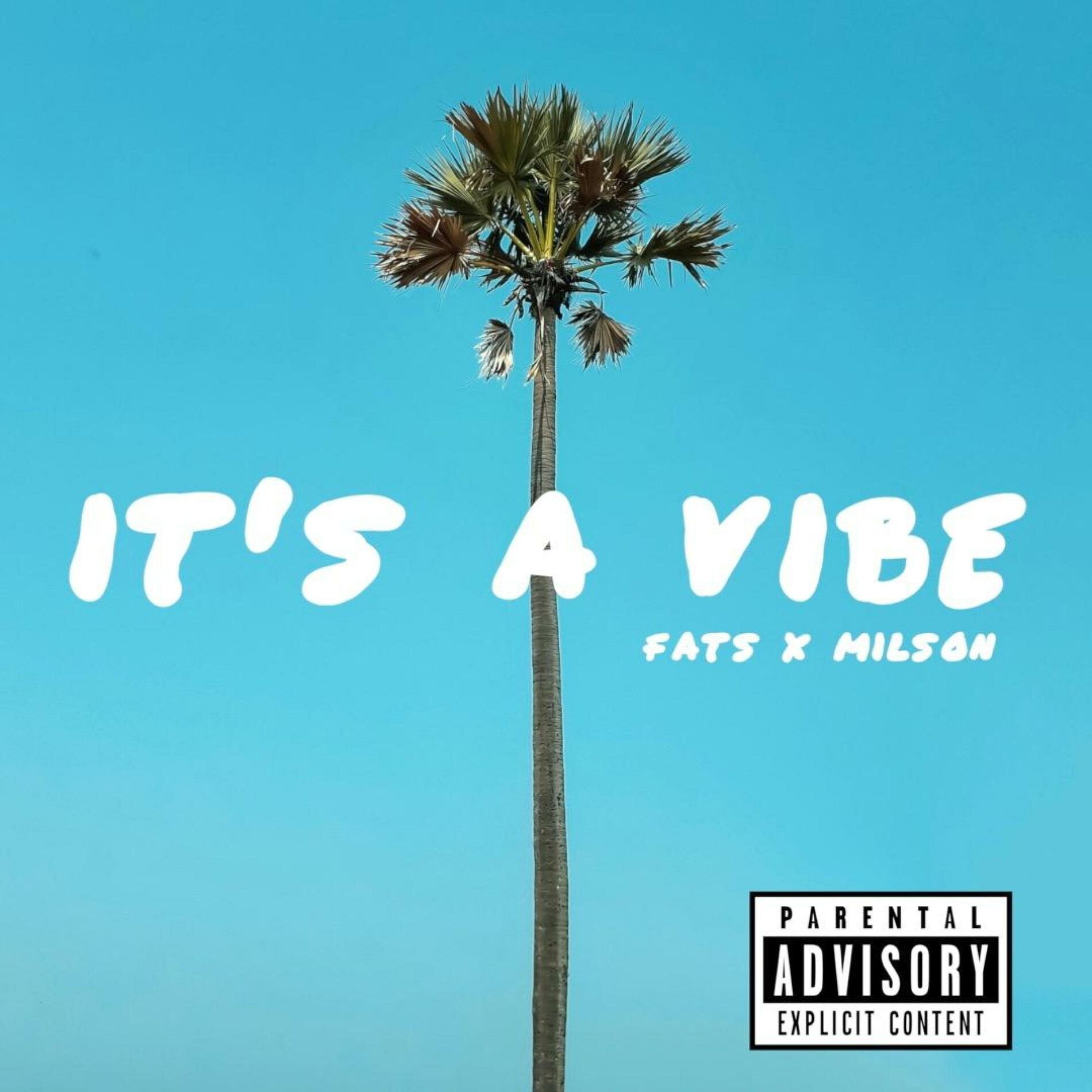 Album cover of It's a Vibe
