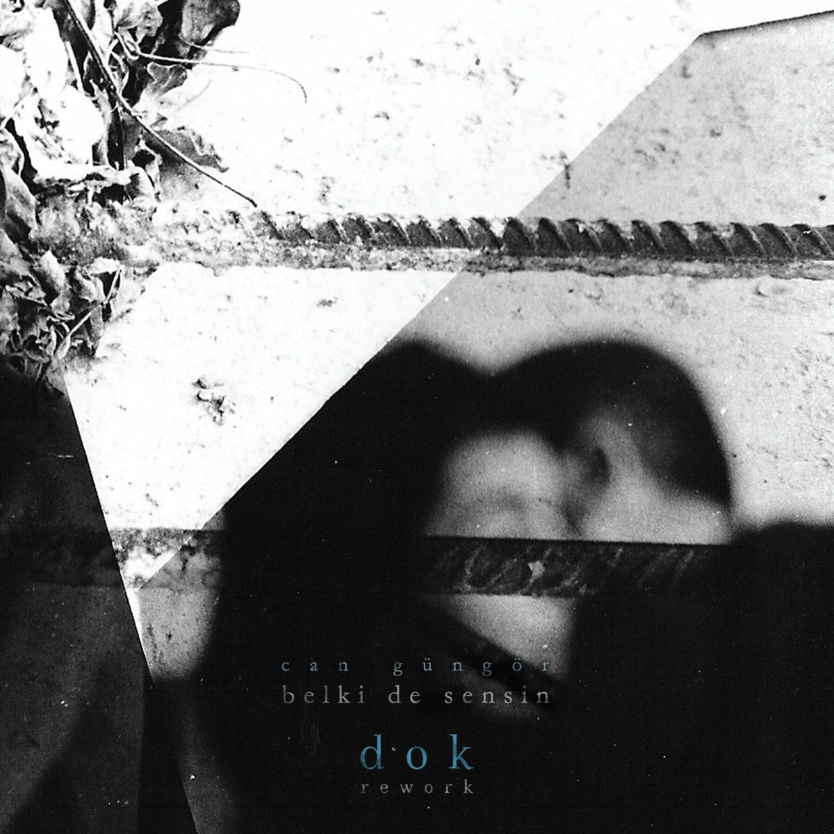 Album cover of Belki de Sensin (Rework)
