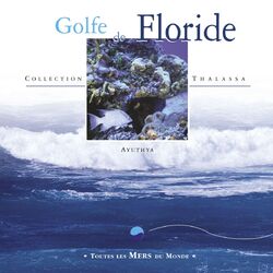 Cover of Toutes les mers du monde : Golfe de Floride