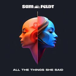 Cover of All The Things She Said