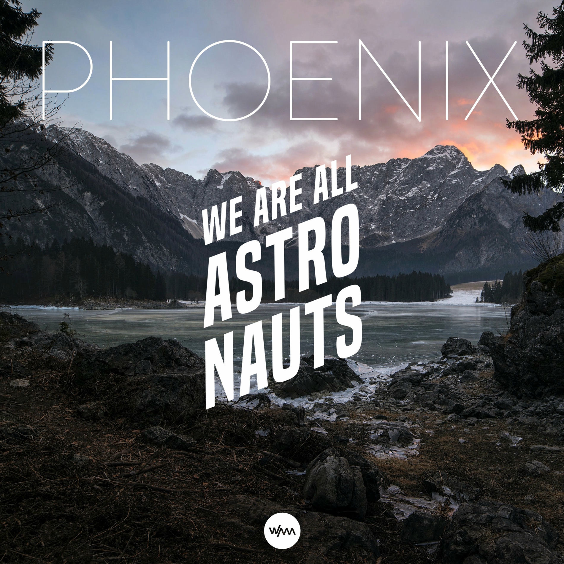 Album cover of Phoenix