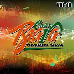 Cover of Vol.10