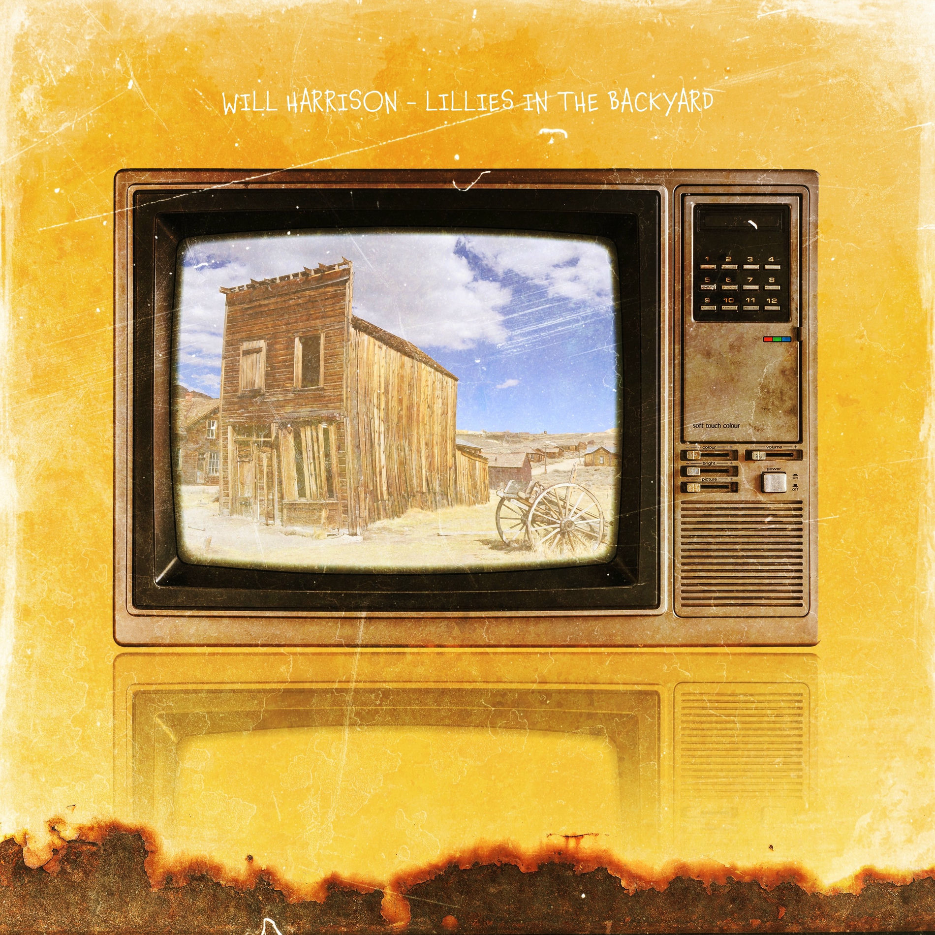 Album cover of Lillies in the Backyard