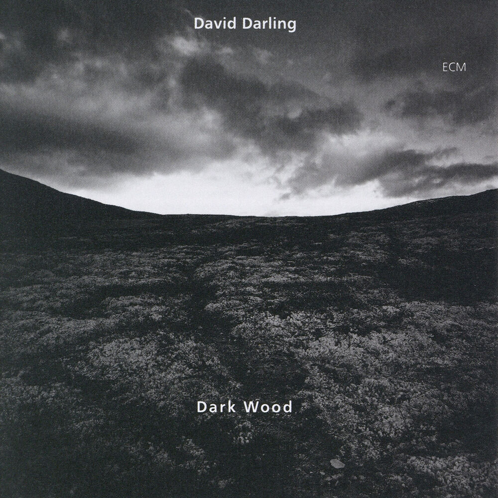 Picture of Dark Wood