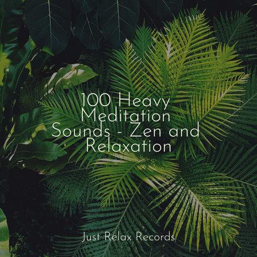 100 Heavy Meditation Sounds - Zen and Relaxation