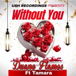 Cover of Without You