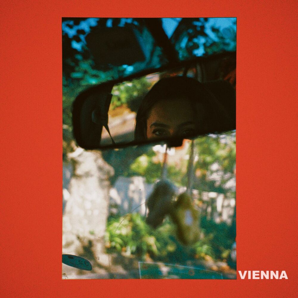 Picture of Vienna