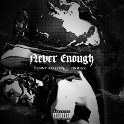 Cover of Never Enough