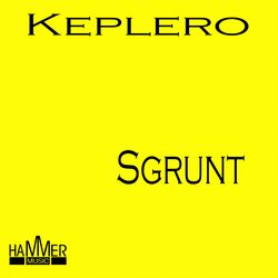 Cover of Sgrunt