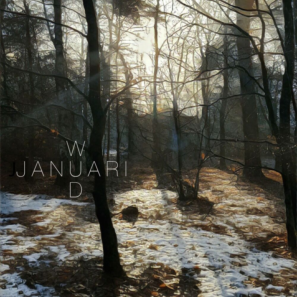 Picture of Januari