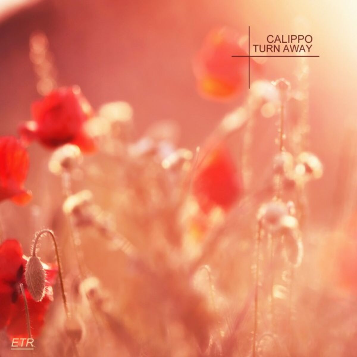 Album cover of Turn Away