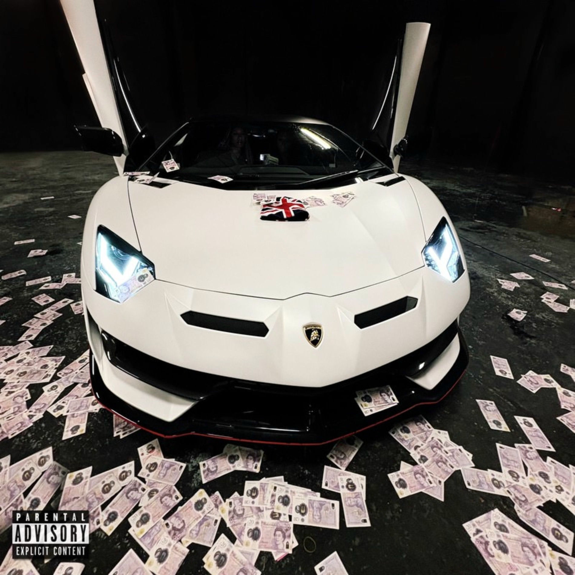 Album cover of Brand Risk
