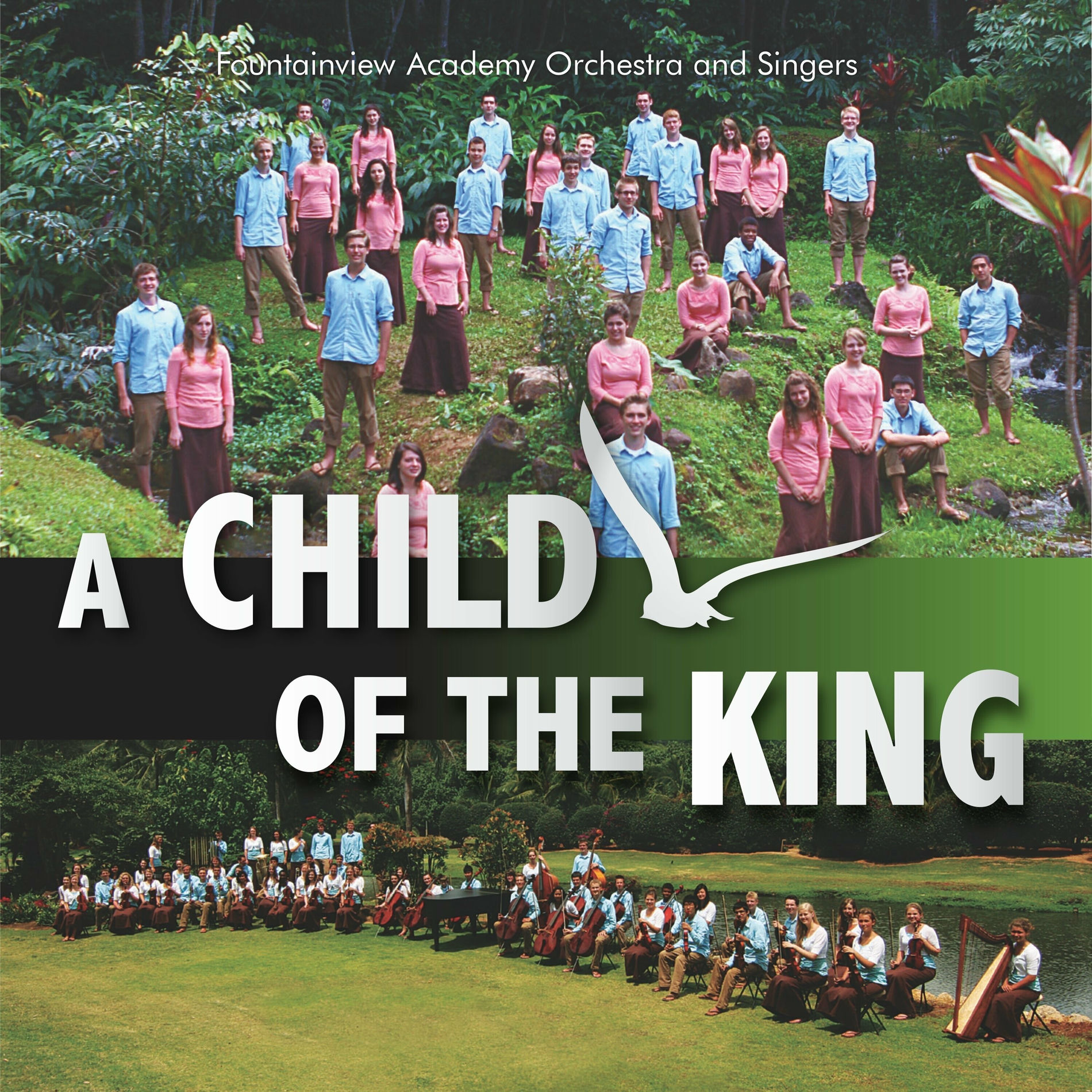 Album cover of A Child of the King