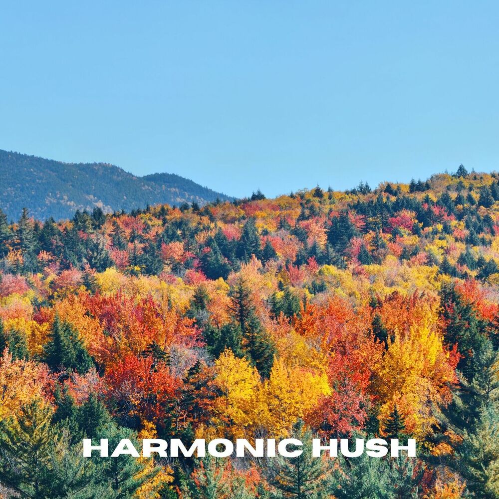 Picture of Harmonic Hush