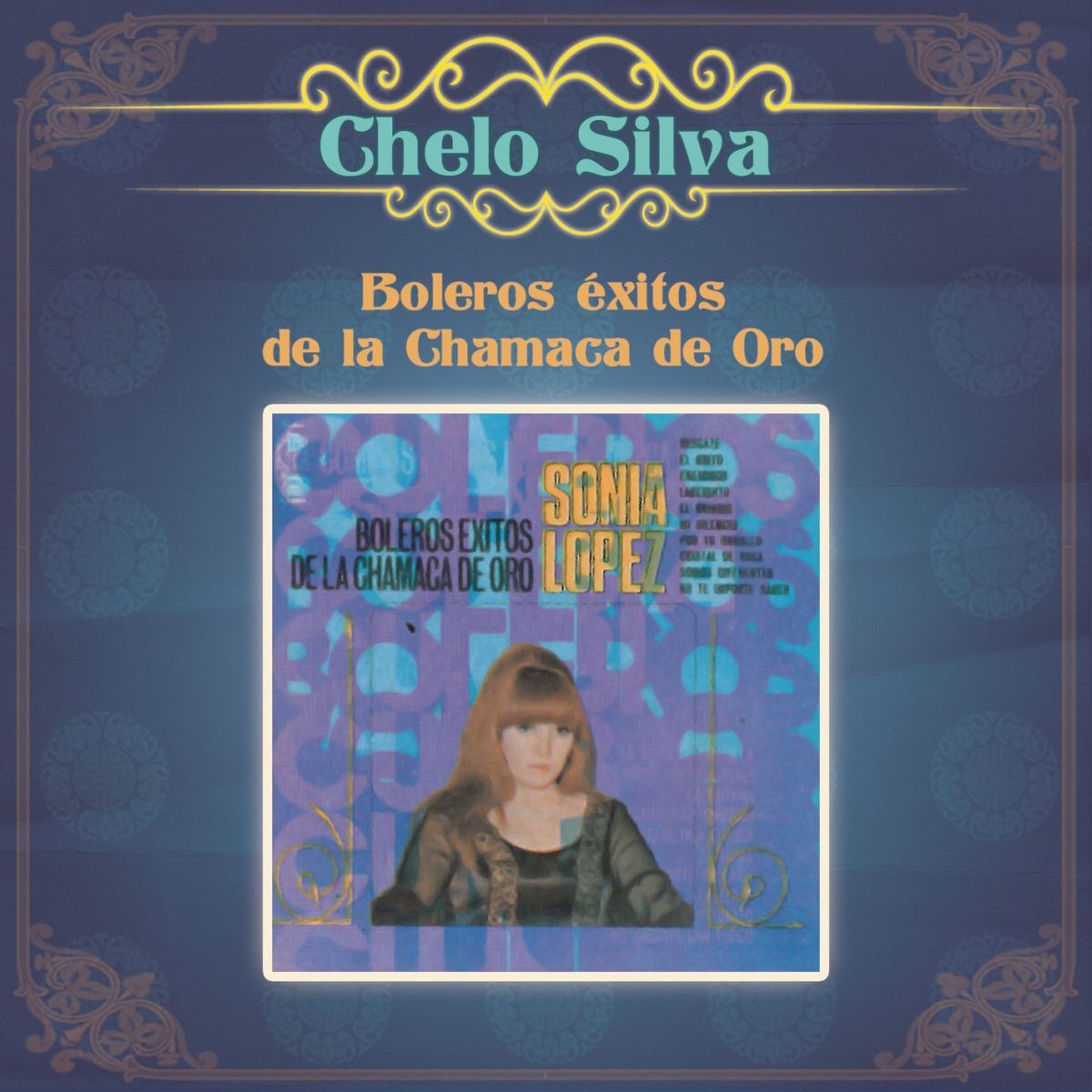 Album cover of Boleros Exitos de la Chamaca de Oro