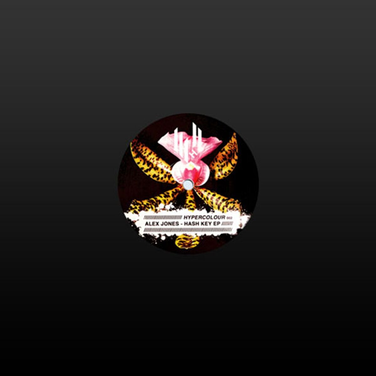 Album cover of Hash Key - EP