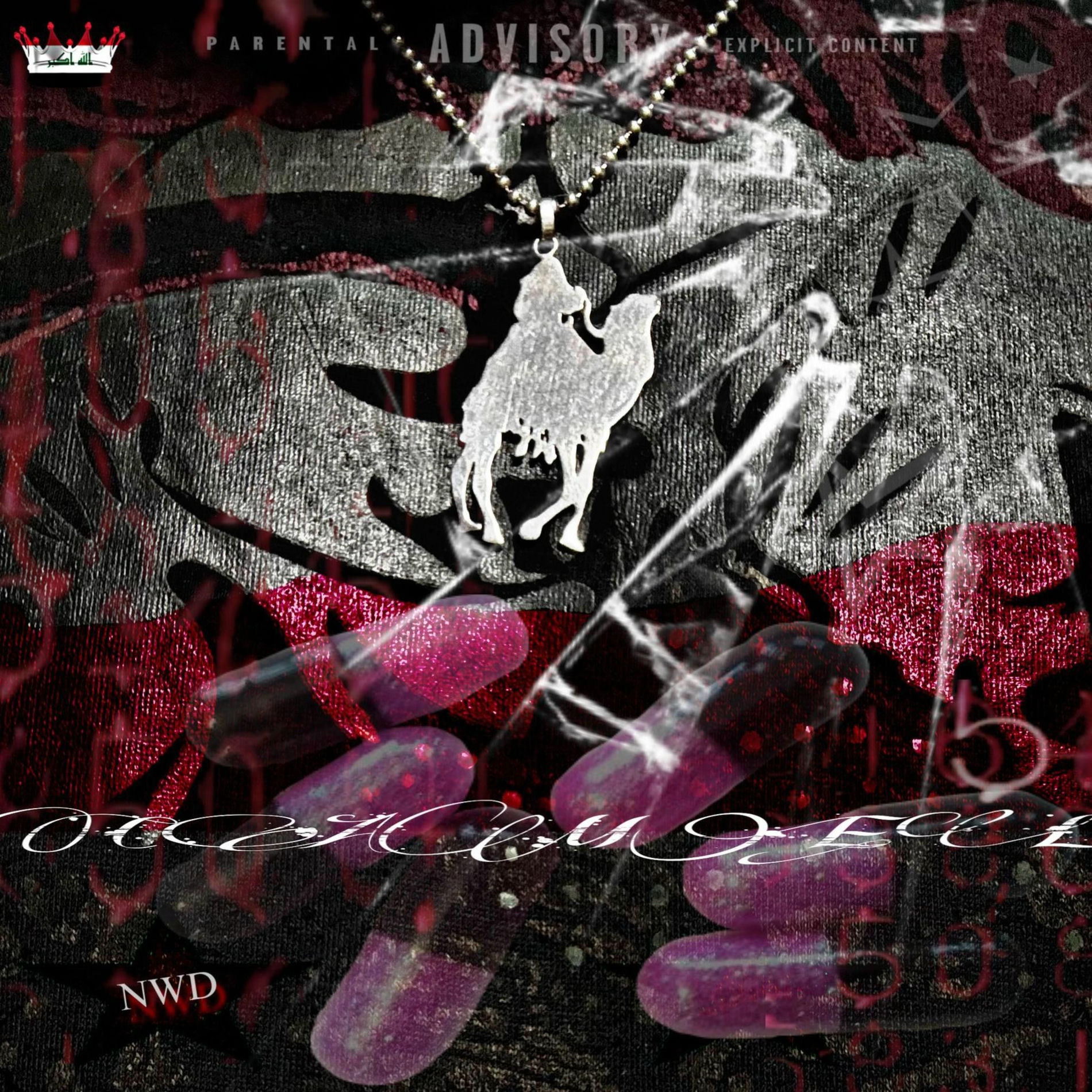 Album cover of CAMEL (feat. WAR & NETHR)