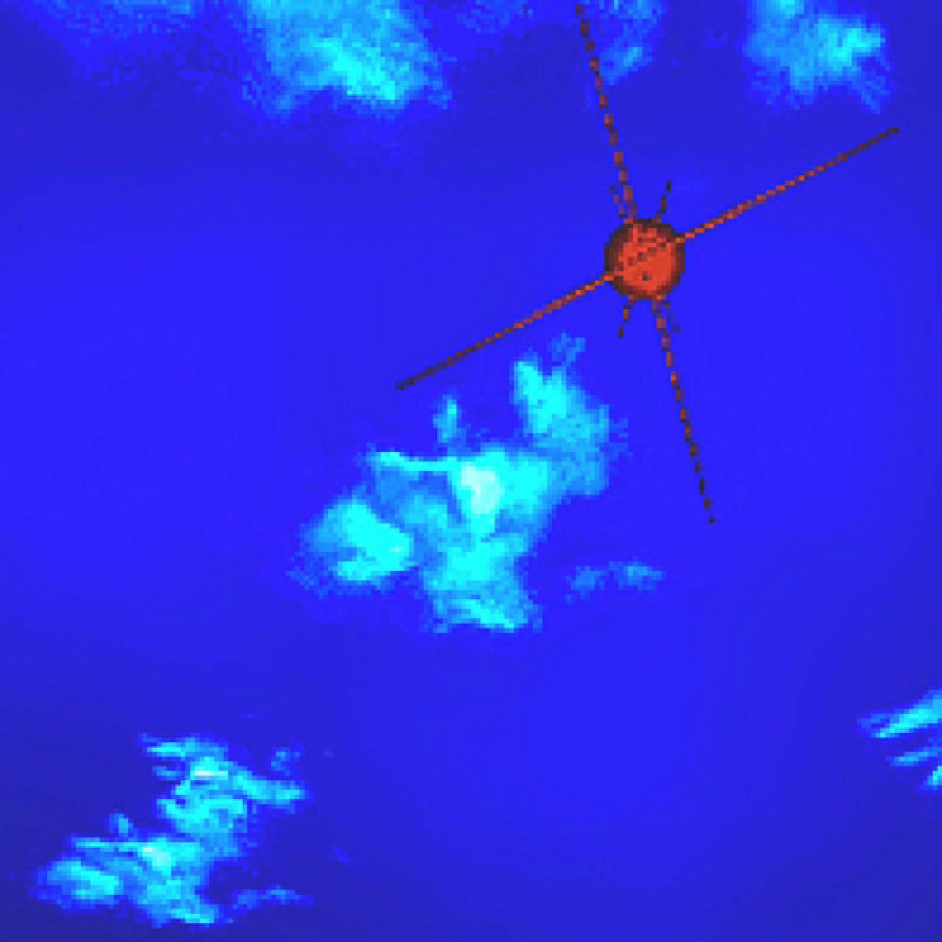 Album cover of bittersweet / chest pains