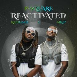 Cover of Reactivated