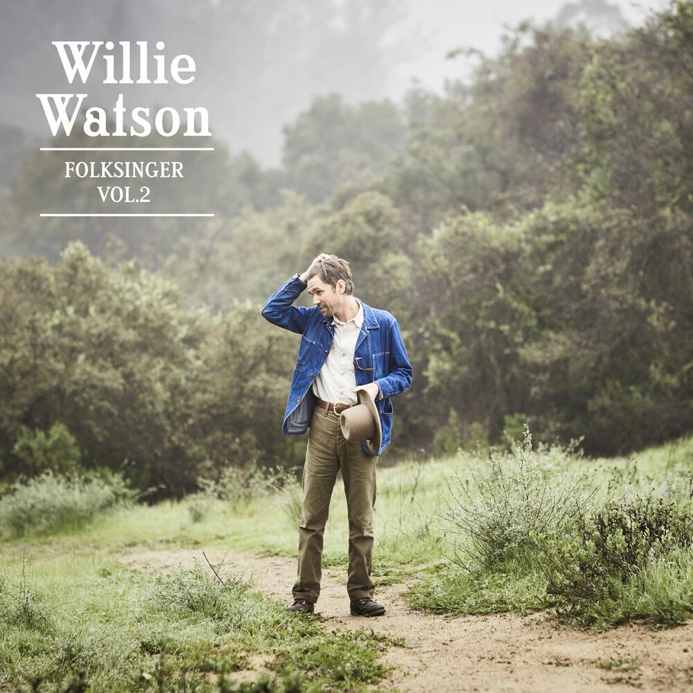 Picture of Folksinger, Vol. 2