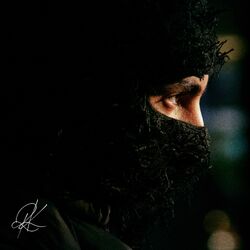 Cover of LIA$$ES