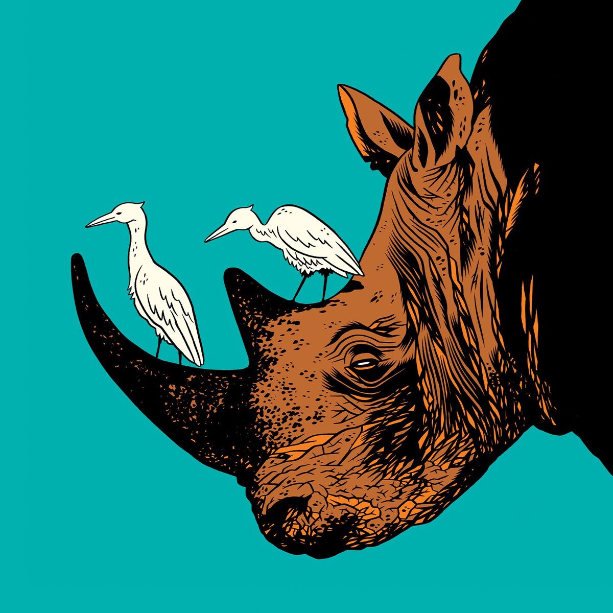 Album cover of Colonel