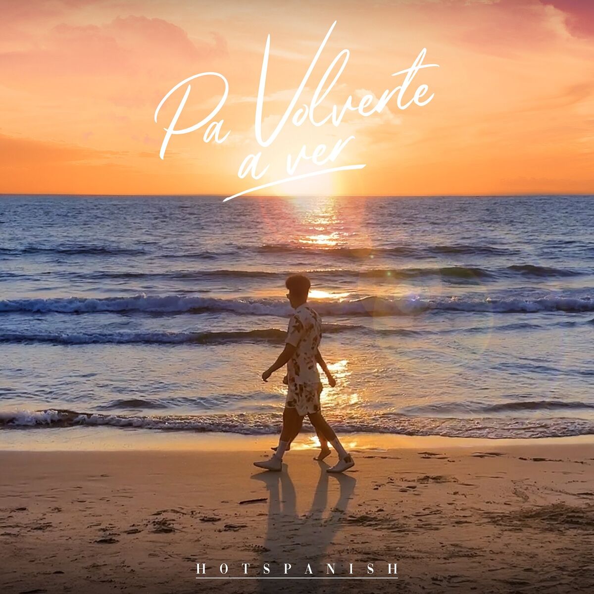 Album cover of Pa Volverte a Ver