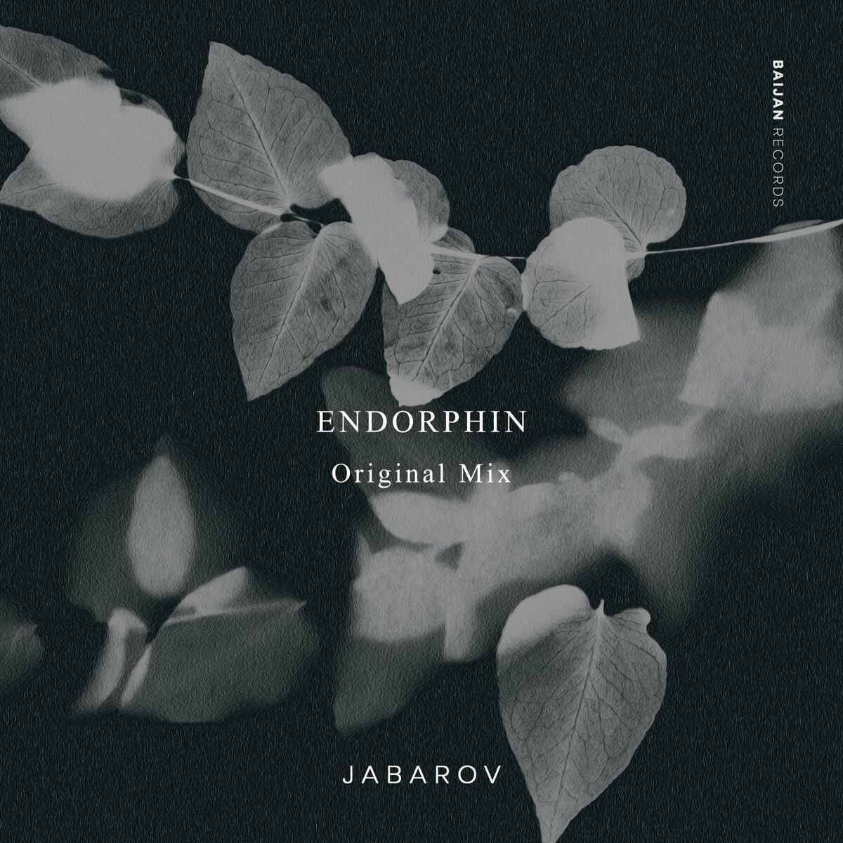 Album cover of Endorphin