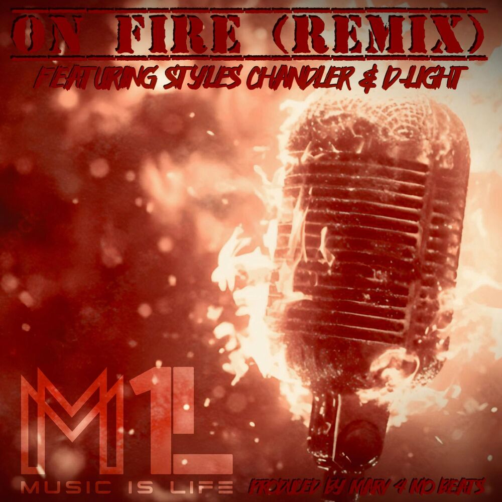 Picture of On Fire (feat. Styles Chandler & D-Light) [Remix]