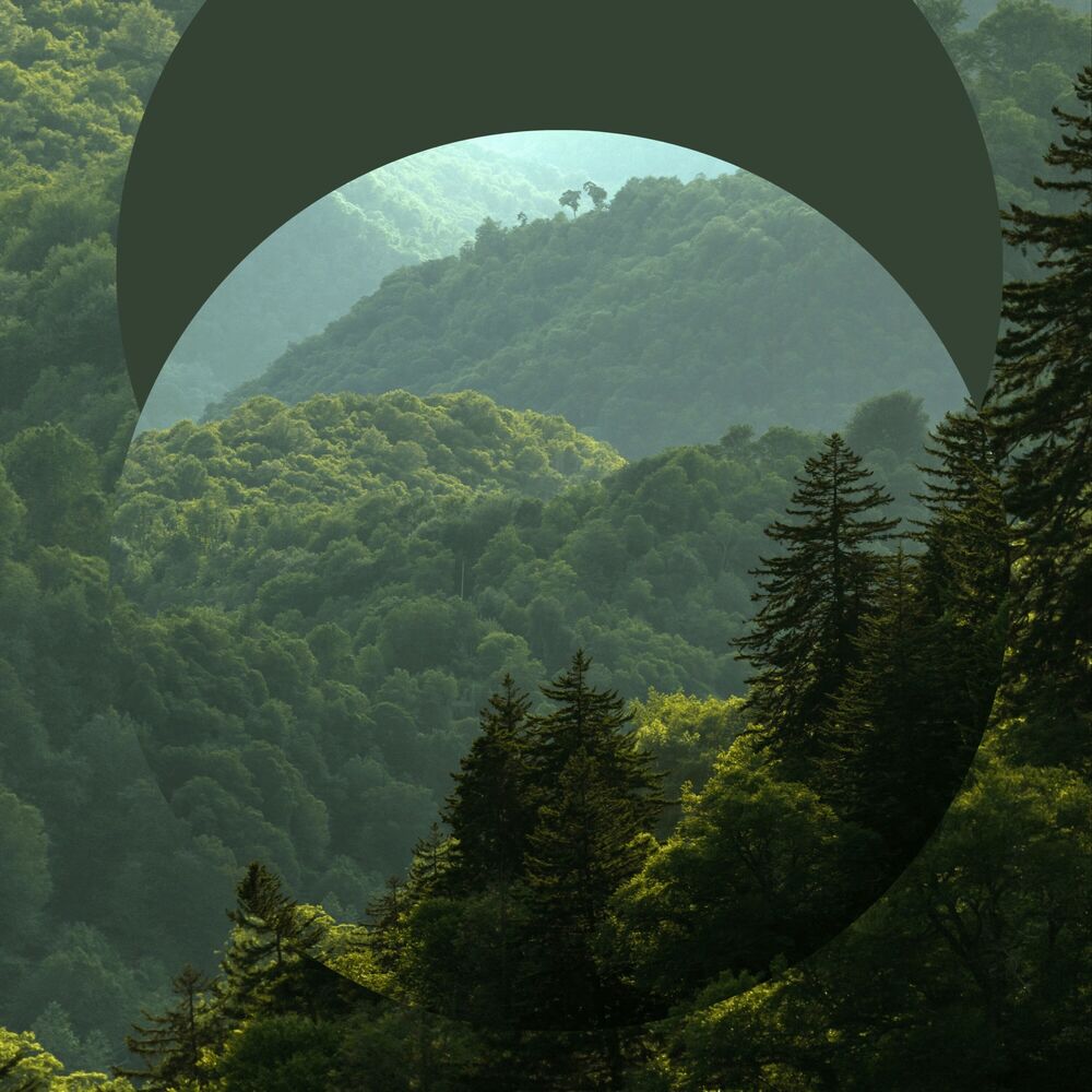 Picture of Earth (Chapter. 4)