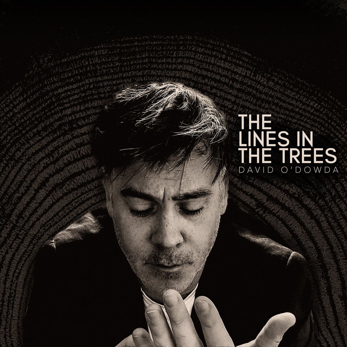 Album cover of Scars